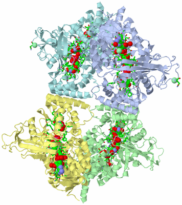 Image Biol. Unit 1 - sites