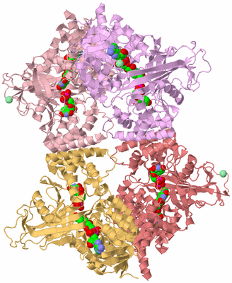 Image Biological Unit 2