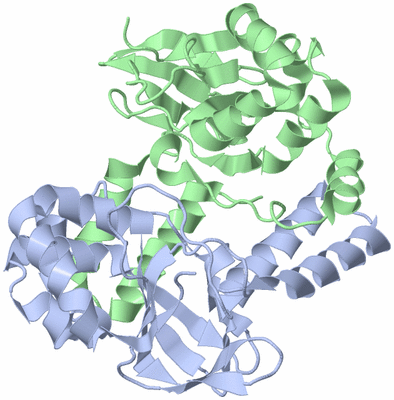 Image Biological Unit 1