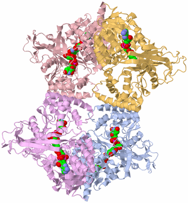 Image Biological Unit 1