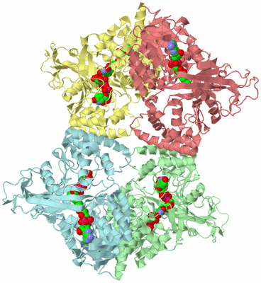 Image Biological Unit 2