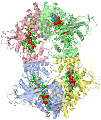 Image Biol. Unit 1 - sites