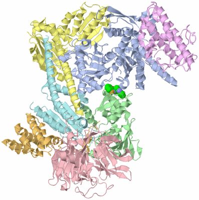 Image Asym./Biol. Unit