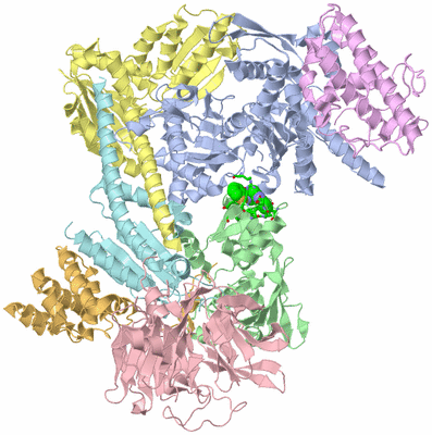 Image Asym./Biol. Unit - sites