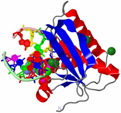 Image Asym./Biol. Unit