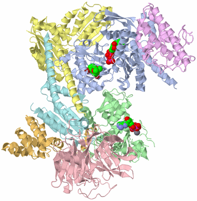 Image Asym./Biol. Unit