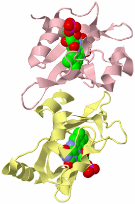 Image Biological Unit 2