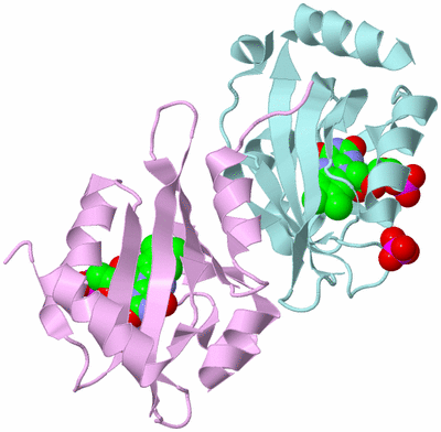 Image Biological Unit 3