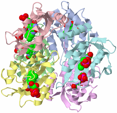 Image Biological Unit 4