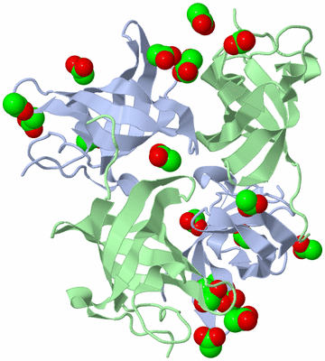 Image Biological Unit 3