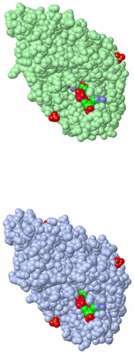 Image Asymmetric Unit