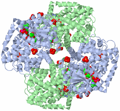 Image Biological Unit 1