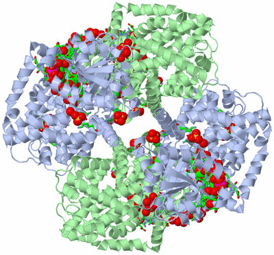 Image Biol. Unit 1 - sites