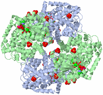 Image Biological Unit 2