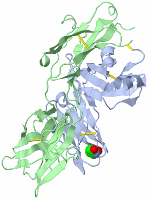 Image Biological Unit 2