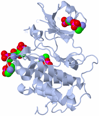 Image Biological Unit 1