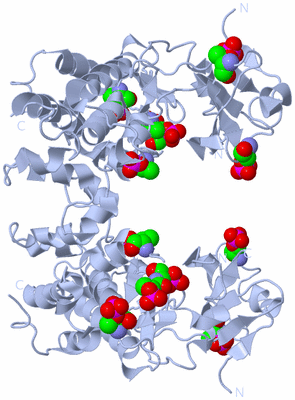 Image Biological Unit 2