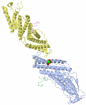 Image Biological Unit 1