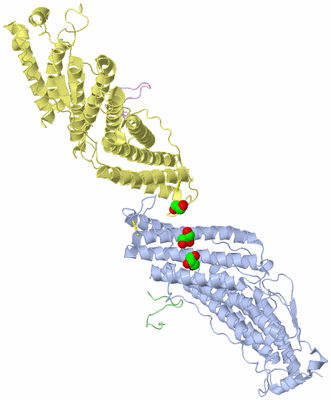 Image Biological Unit 1