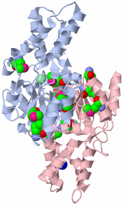 Image Biological Unit 1