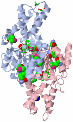 Image Biol. Unit 1 - sites