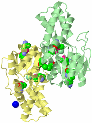 Image Biological Unit 2