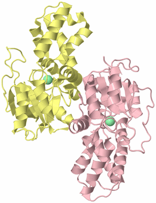 Image Biological Unit 2