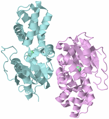 Image Biological Unit 3