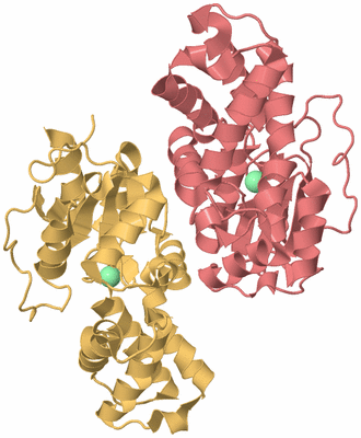 Image Biological Unit 4