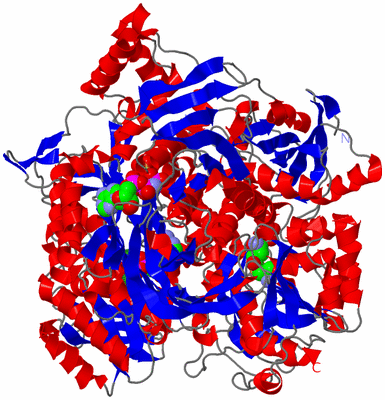 Image Asym./Biol. Unit