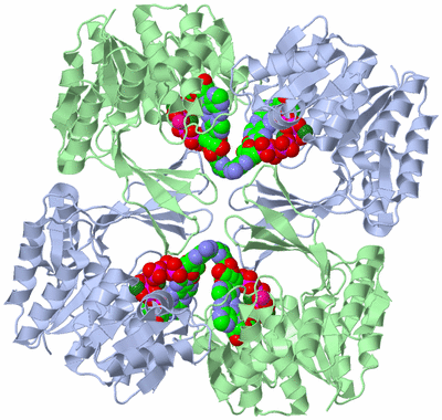 Image Biological Unit 1