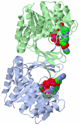 Image Biological Unit 2