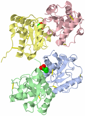 Image Asym./Biol. Unit