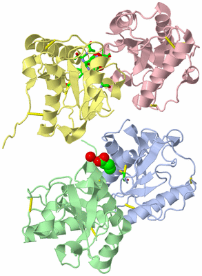 Image Asym./Biol. Unit - sites