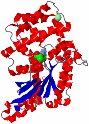 Image Asym./Biol. Unit