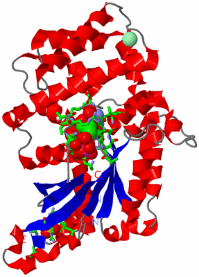 Image Asym./Biol. Unit - sites