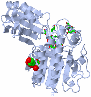 Image Biol. Unit 1 - sites