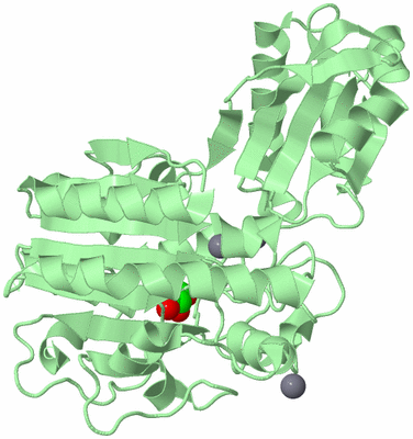 Image Biological Unit 2