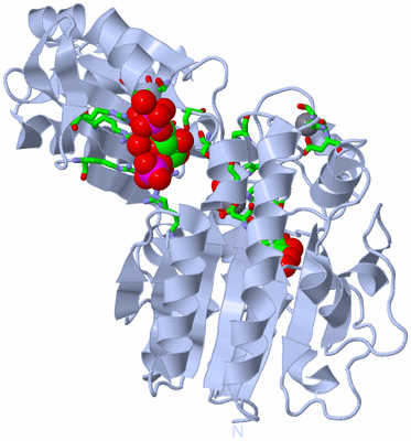 Image Biol. Unit 1 - sites