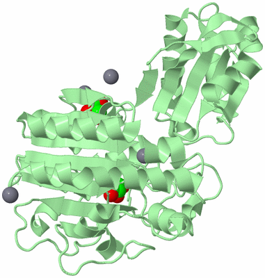 Image Biological Unit 2