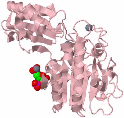 Image Biological Unit 3