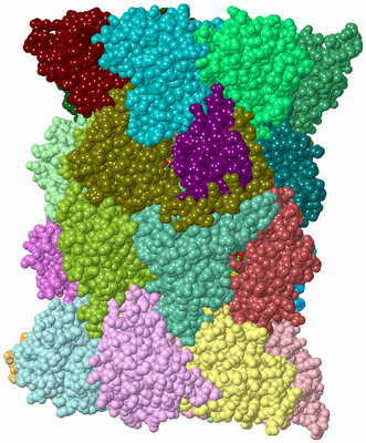 Image Asym./Biol. Unit - sites