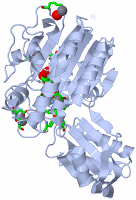 Image Biol. Unit 1 - sites