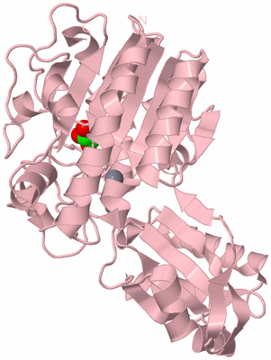 Image Biological Unit 3