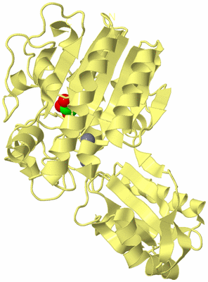 Image Biological Unit 4