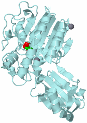 Image Biological Unit 6