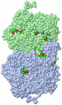 Image Asym./Biol. Unit - sites