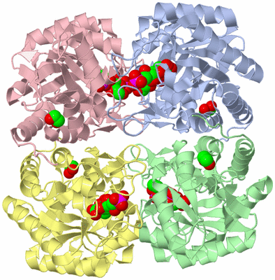 Image Asym./Biol. Unit