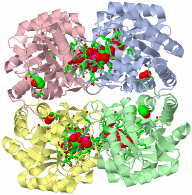 Image Asym./Biol. Unit - sites