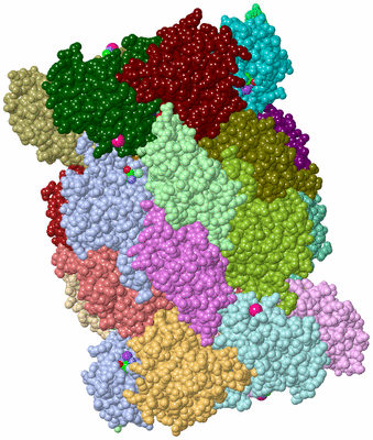 Image Asym./Biol. Unit - sites